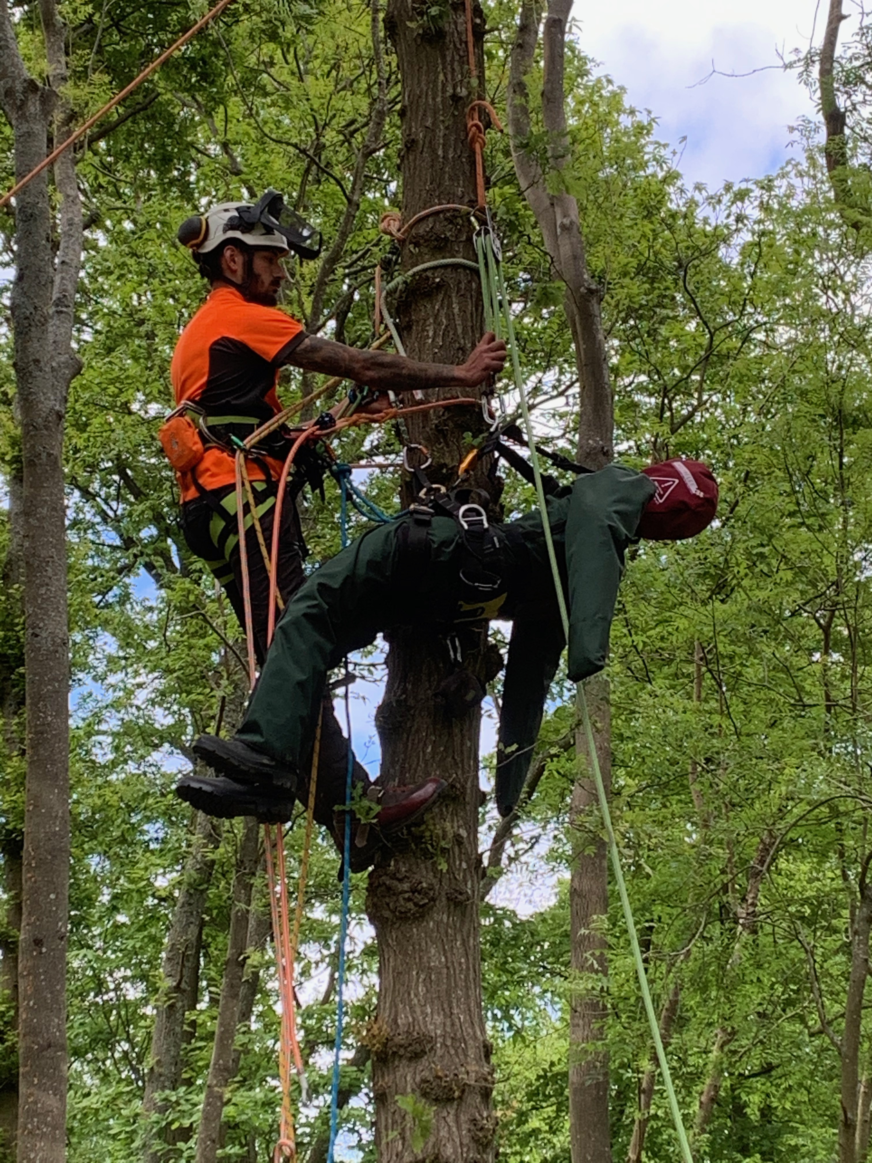 COVID19 Adapted Tree Climbing & Aerial Rescue Training Scott Fraser